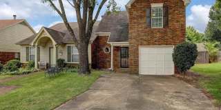 3621 SUNRAY Cv 3621 SUNRAY Cv Gallery 1