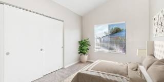 Palms at South Mountain Gallery 8