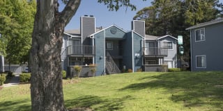 Cypress Creek Gallery 43