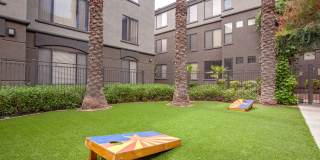 Monte Viejo Gallery 33