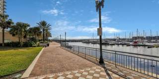 St Johns River Views! Gallery 27
