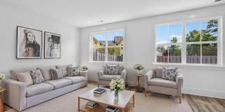 Modern Comfort in the Heart of Johns Island Gallery 23