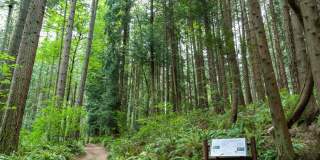 Modera Bridle Trails Modera Bridle Trails Gallery 52