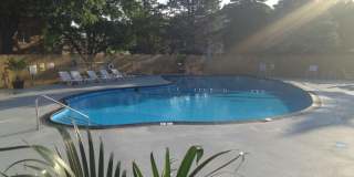 Willows on France Gallery 39