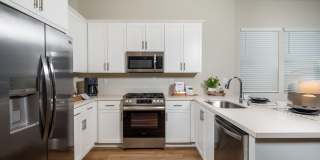 Calista Luxury Townhomes Gallery 1