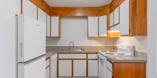 Willamette Terrace Gallery 8