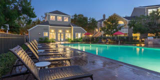 Woodland Meadow Gallery 12