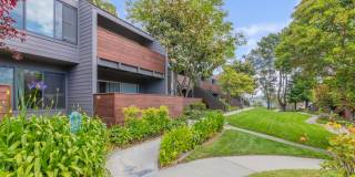 The Hilltop Apartments Gallery 9