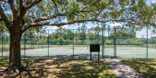 9130 LAKE CHASE ISLAND Way Gallery 25
