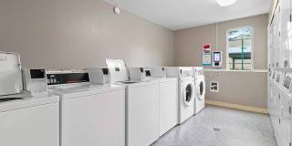 East Wind Gallery 26