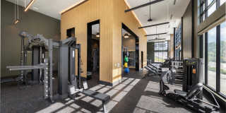 The Collins The Collins Gallery 29