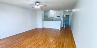 6736 Cleon Ave Gallery 5