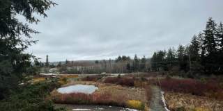 The Signature Gallery 56