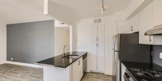 Rise Biltmore Gallery 33