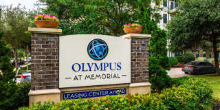 Olympus at Memorial Gallery 51
