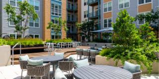 The Alder Gallery 38