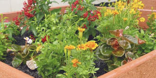 2552 W Bird St Gallery 37