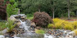 North Creek Gallery 29