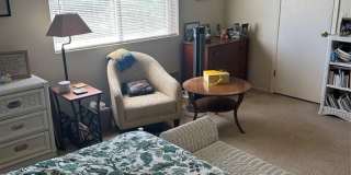 8 Alana Drive Gallery 12