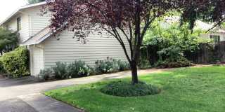Three bedroom, 1.5 bath townhouse in quiet community | Available Mid-November Gallery 1
