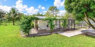 11173 Manatee Gallery 11