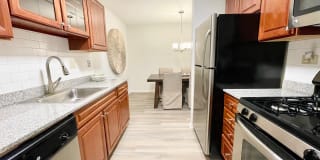 International Village Gallery 4