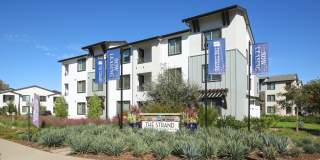 The Strand Gallery 3