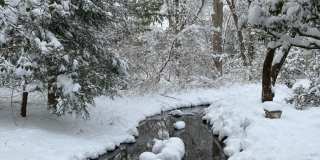 16 Crooked Mile Road Gallery 33