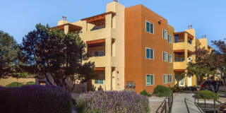 Desert Willow Apartments - Affordable Gallery 12