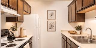 The Lodge Apartments The Lodge Apartments Gallery 1