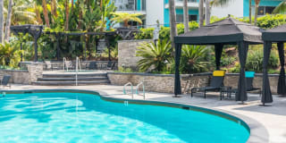 Ocean Club Gallery 13