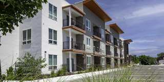 Copper Flats Gallery 44