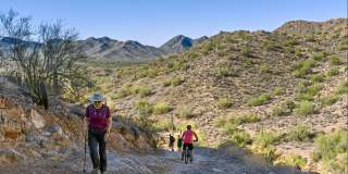 San Tan Heights Gallery 31