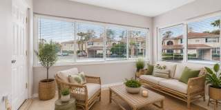 10375 CARROLLWOOD Lane Gallery 17