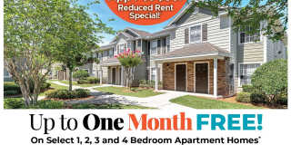 Lakeside Retreat at 27 Gallery 1