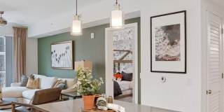 Palmera Gallery 3