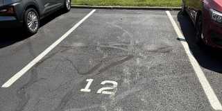 10124 Carnation Court Gallery 20