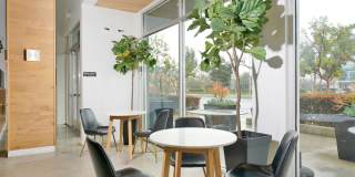 Nineteen 01 Gallery 36