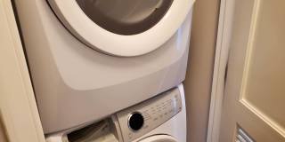 The Dalton Gallery 1