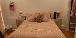 Large 2 bed next to Northeastern and Berklee for the upcoming school year! Gallery 16