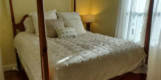 227 LYCHEE ROAD Gallery 6