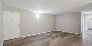 Crossings at Cheviot Gallery 41