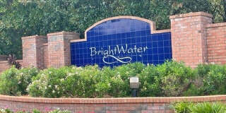 7516 SCARLET IBIS Lane Gallery 1