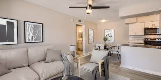 Rise Desert West Gallery 7