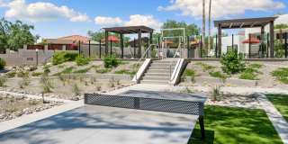 Cortland North Tucson Gallery 20