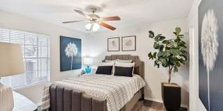 Altamonte Gallery 11