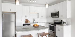 Canopy at Citrus Park Gallery 1