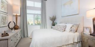 The Apartment Collection at Bay Meadows Gallery 55