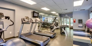 Allyson Gardens II Gallery 29