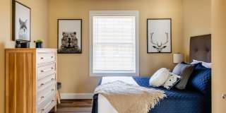 Paugus Woods Gallery 22